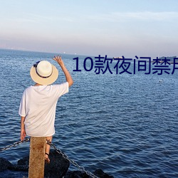 10款夜间禁用