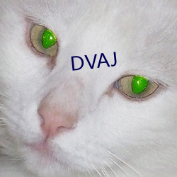 DVAJ