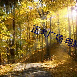 AG真人平台(中国)官方网站