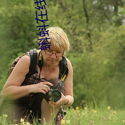 蝌蚪在线观看