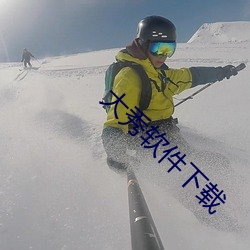 大秀(秀)软件下载