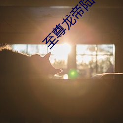 至(至)尊(尊)龙(龍)帝(帝)陆鸣(鳴)