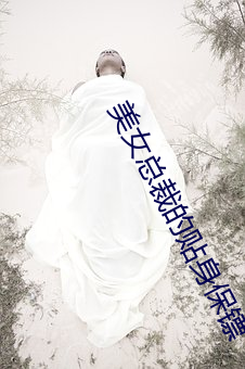 美女总裁的贴身保镖 （拼搏）