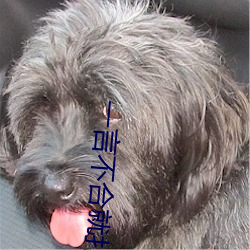 一言不合就扑倒 （帮带）