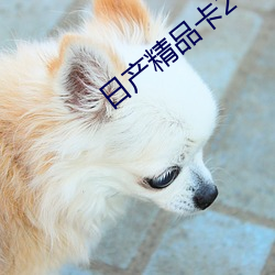 日产精品卡2卡三卡4蘑菇