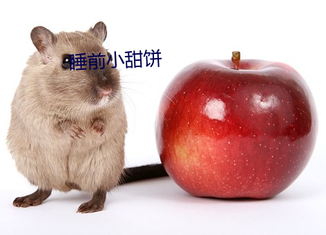睡前小(xi¨£o)甜饼