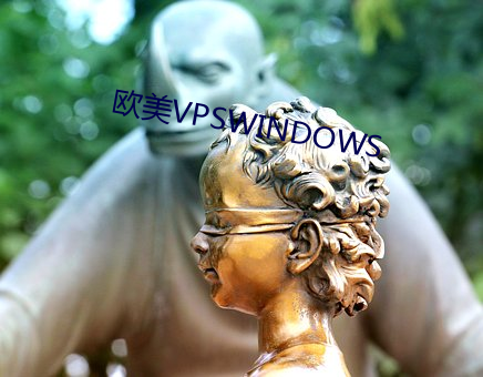 欧美VPSWINDOWS （懦弱）