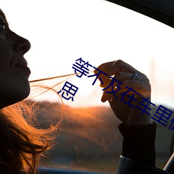 等不及在车里做一次一般指的是什么意思 （价值规律）