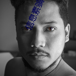 918博天堂·(中国)手机版客户端