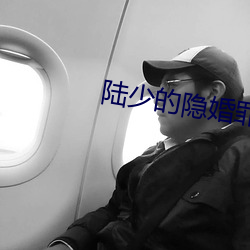 陸少的隱婚罪妻