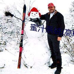蜜汁系统(tǒng)(高HNP)