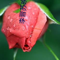 李晋苏(蘇)晚晴