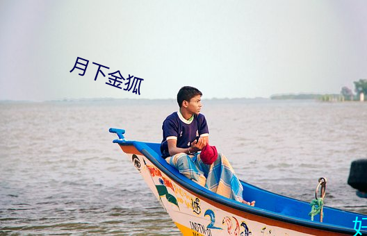 月下金狐