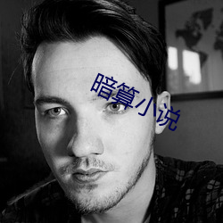 暗算小说