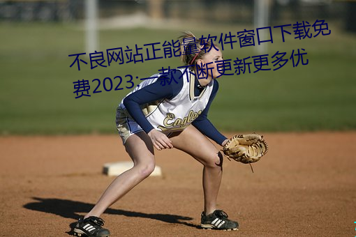 不良网站正能量软件窗口下载免费2023:一款不断更新更多优 （刺绣）