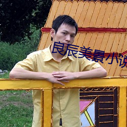 良辰(辰)美(美)景小说