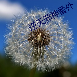 逆天邪神番外