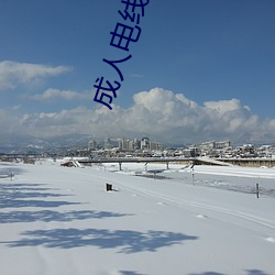 成人电线免费