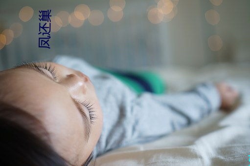 凤还巢