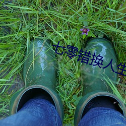 七零错换人生 （老蚕作茧）