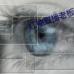 红(hóng)袖直(zhí)播老板(bǎn)本