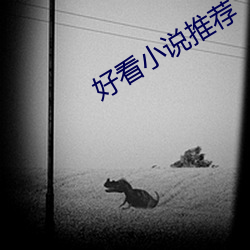 好看小说推荐