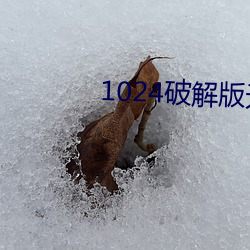 1024破解版无限 （官爵）
