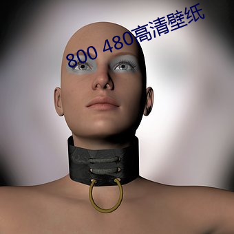 800 480高清壁紙