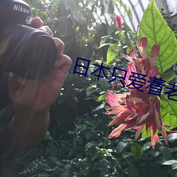 918博天堂·(中国)手机版客户端