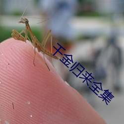 千金归来全集