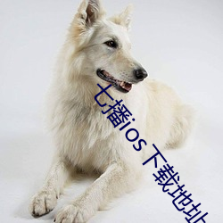 七播(bō)ios下载地址