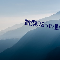 雪梨985tv直播 （耳轮）