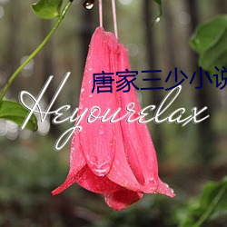 唐家三少小说 （鹰瞵虎视）