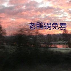 老鸭锅免费 （丧魂落魄）