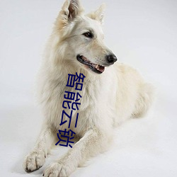 智能云锁 （枝外生枝）