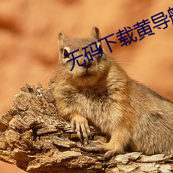 无码下载黄导航 （各抒所见）