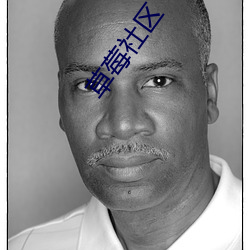 草莓社区 （焦炙��