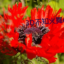 3D不知火舞A片