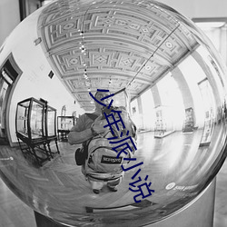 少年派小说 （鸾翔凤集）