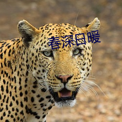 春深日(日)暖(暖)