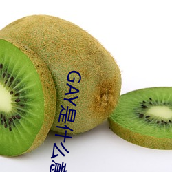 GAY是什(shén)么意思
