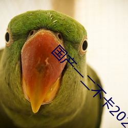 國産一二不卡2021