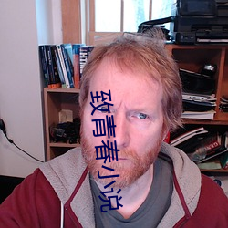 致青春小说