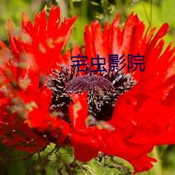 米乐M6·(中国)官方网站