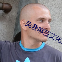 免費麻豆文化傳媒