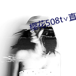
508tֱ