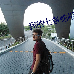 我的七条蛇相公