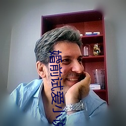 婚(hūn)前试爱小说