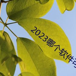 2023哪个软(軟)件可以看黄页(頁)