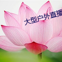 大型户外直播app 乔装打扮）